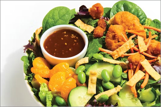 asian chicken salad with mandarin oranges, sliced cucumbers and more