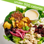 A salad bowl featuring leafy greens, diced chicken, dried cranberries, crumbled feta, pickled red onions, apple chips, red quinoa, and a side of dressing. A label above reads “under 500 calories.”
